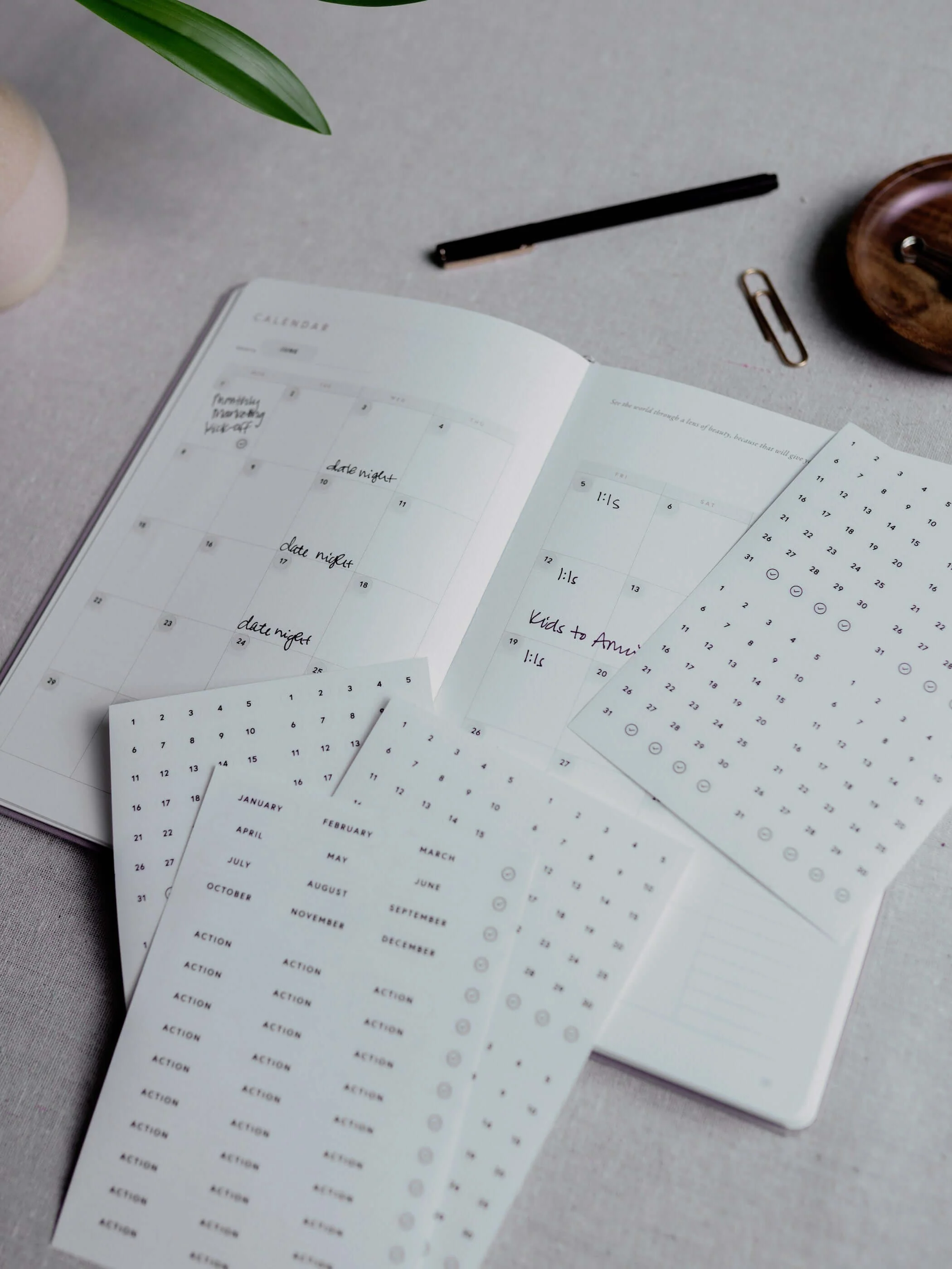 Full Focus Date Stickers - Image 4