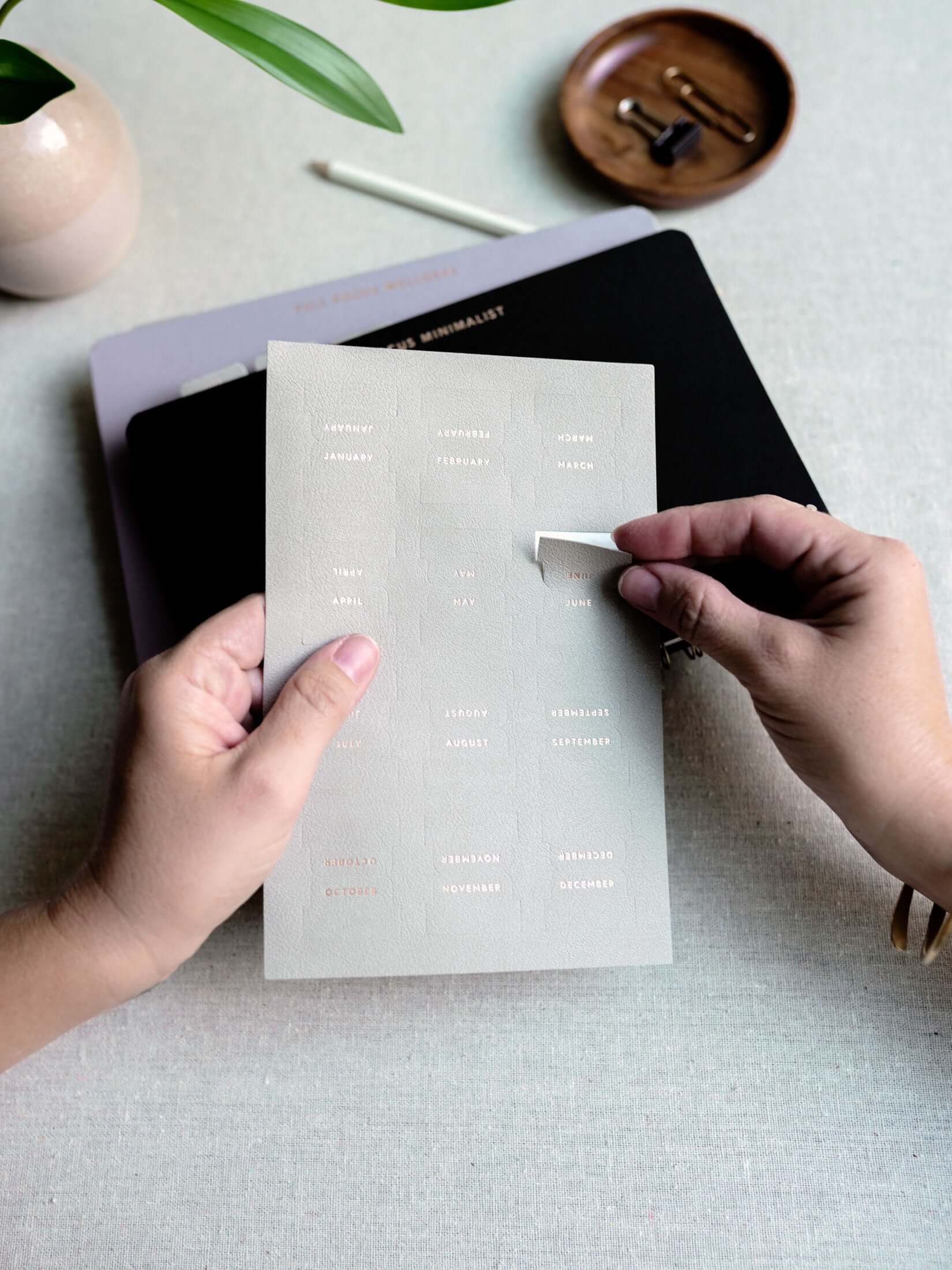 Vegan Leather Month Tabs - Image 4